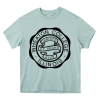 Arona wheaton college illinois Heavy Core Tee - linhVisuals