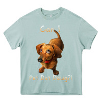 Arona can i pet dat dawg funny dog dachshund lover doxie gift t shirt Heavy Core Tee - linhVisuals