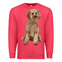 Cardinal cockapoo Premium Sweatshirt - RanaPortraitStore
