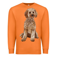 Carrot cockapoo Premium Sweatshirt - RanaPortraitStore