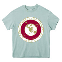 Arona florida institute of technology Heavy Core Tee - linhVisuals
