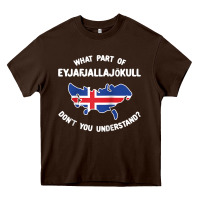 Chocolate Brown what part of eyjafjallajökull don't you understand raglan baseball te Heavy Core Tee - linhVisuals