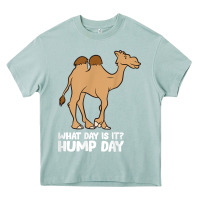 Arona what day is it hump day funny camels hump day t shirt Heavy Core Tee - linhVisuals