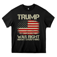 Black vintage usa american flag trump was right about everything pullover ho Heavy Core Tee - linhVisuals