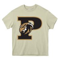 Mossy poolesville high school Heavy Core Tee - linhVisuals