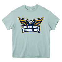 Arona twin city christian school Heavy Core Tee - linhVisuals