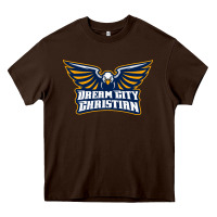 Chocolate Brown twin city christian school Heavy Core Tee - linhVisuals