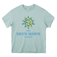 Arona bryn mawr school Heavy Core Tee - linhVisuals
