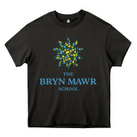 Asphalt bryn mawr school Heavy Core Tee - linhVisuals