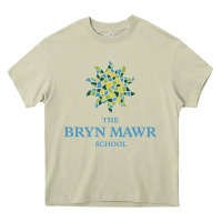 Mossy bryn mawr school Heavy Core Tee - linhVisuals