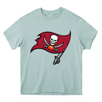 Arona Team Of Tampa Bay American Football Heavy Core Tee - linhVisuals