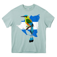 Arona nicaragua guardabarranco, nicaragua t shirt Heavy Core Tee - linhVisuals
