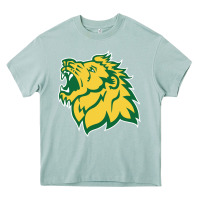 Arona Missouri Southern, Mssu Lions Heavy Core Tee - linhVisuals