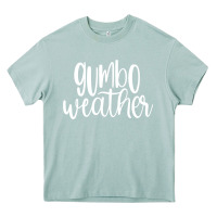 Arona gumbo weather season in louisiana acadiana cajun lifestyle sweatshirt Heavy Core Tee - linhVisuals