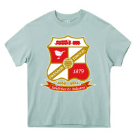 Arona the swindon Heavy Core Tee - linhVisuals
