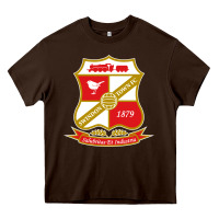 Chocolate Brown the swindon Heavy Core Tee - linhVisuals