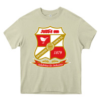 Mossy the swindon Heavy Core Tee - linhVisuals