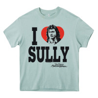 Arona dr.quinn, medicine woman i heart sully premium t shirt Heavy Core Tee - linhVisuals