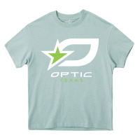 Arona funny  gaming optic Heavy Core Tee - linhVisuals