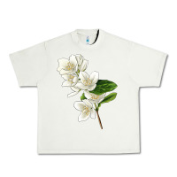 Pistachio Mock Oranges Illustrations Urban Heavy Tee - LillyAllenDesigns