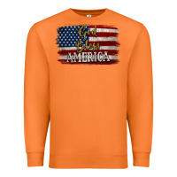 Carrot God Bless America Distressed Flag Premium Sweatshirt - Jasminsmagicworld
