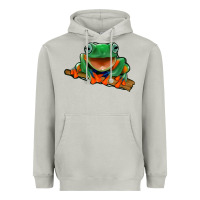 Moon Dust frog Heavyweight Hoodie - Jasminsmagicworld