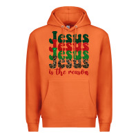 Carrot jesus is the reason Premium Hoodie - BarkalooDesign