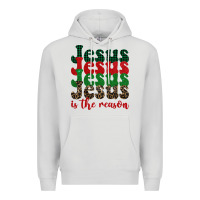 Dove Grey jesus is the reason Premium Hoodie - BarkalooDesign
