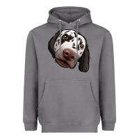 Storm Dalmatian Heavyweight Hoodie - Jasminsmagicworld