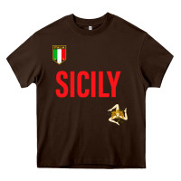 Chocolate Brown sicily Heavy Core Tee - baoMotion