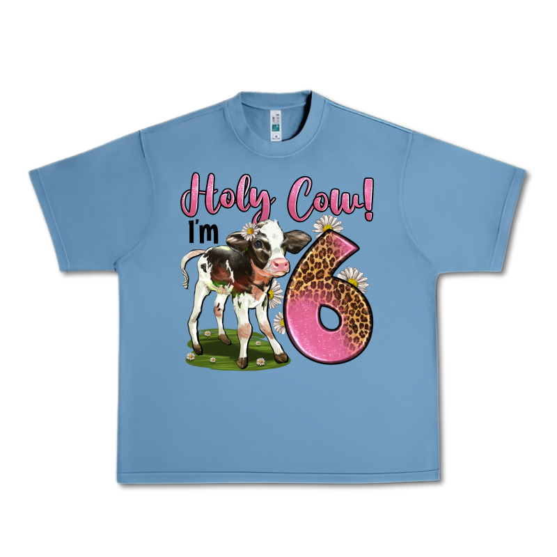 Holy Cow I'm 6 Years Old Urban Heavy Tee by LillyAllenDesigns | Teevron