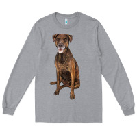 Heather Grey plott hound Long Sleeve Tee - LillyAllenDesigns