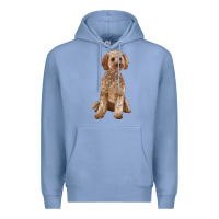 Colony Blue cockapoo Premium Hoodie - RanaPortraitStore