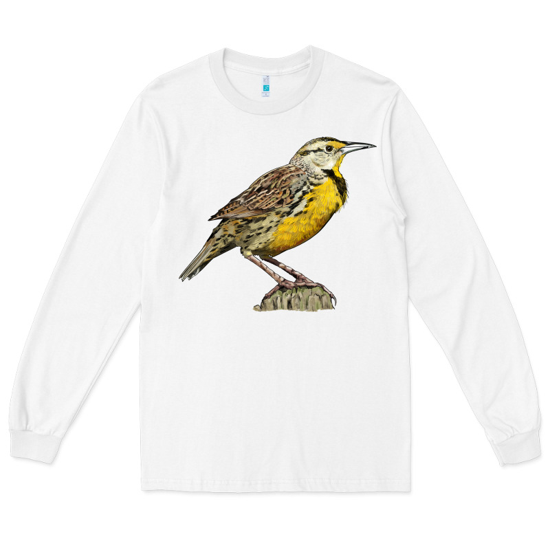 Western Meadowlark Long Sleeve Tee by LillyAllenDesigns | Teevron