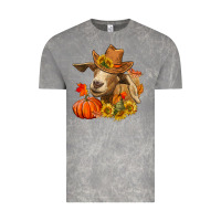 Cloud Rock fall goat Vintage Tee - LillyAllenDesigns