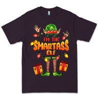 Plum im the smartass elf Premium Tee - FaDigitalArtStudio
