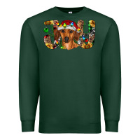 Sports Green dachshund christmas joy Premium Sweatshirt - RanaPortraitStore