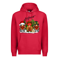 Cardinal Christmas choir gnomes Premium Hoodie - BarkalooDesign