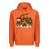 Carrot Christmas choir gnomes Premium Hoodie - BarkalooDesign
