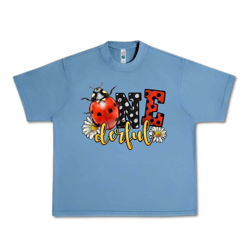 Onederful Wonderful Ladybug Urban Heavy Tee by LillyAllenDesigns | Teevron