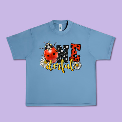 Onederful Wonderful Ladybug Urban Heavy Tee Designed By Lillyallendesigns