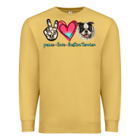 Antique Gold Peace Love Boston Terrier Premium Sweatshirt - Jasminsmagicworld