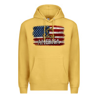 Antique Gold God Bless America Distressed Flag Premium Hoodie - Jasminsmagicworld