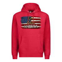 Cardinal God Bless America Distressed Flag Premium Hoodie - Jasminsmagicworld