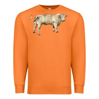 Carrot charolais bull Premium Sweatshirt - RanaPortraitStore