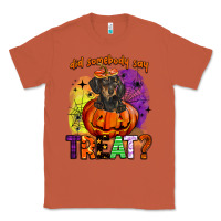 Copper did somebody say treat Classic Tee - BarkalooDesign