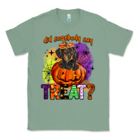 Sage did somebody say treat Classic Tee - BarkalooDesign