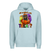 Blue Mist did somebody say treat Premium Hoodie - BarkalooDesign