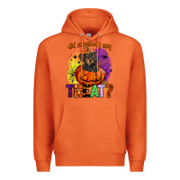 Carrot did somebody say treat Premium Hoodie - BarkalooDesign