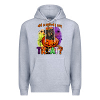 Did Somebody Say Treat Premium Hoodie | Teevron